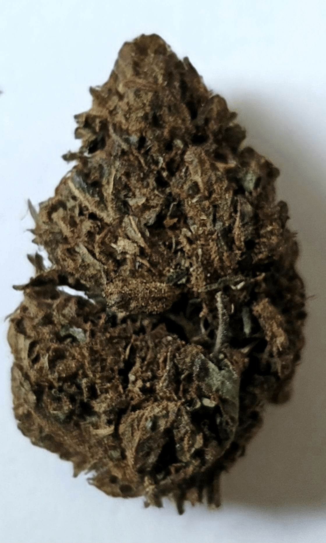 GELATO