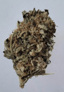 FLEUR CBD MANDARINE